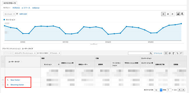 Google Analytics 管理画面（New Visitor/Returning Visitor）