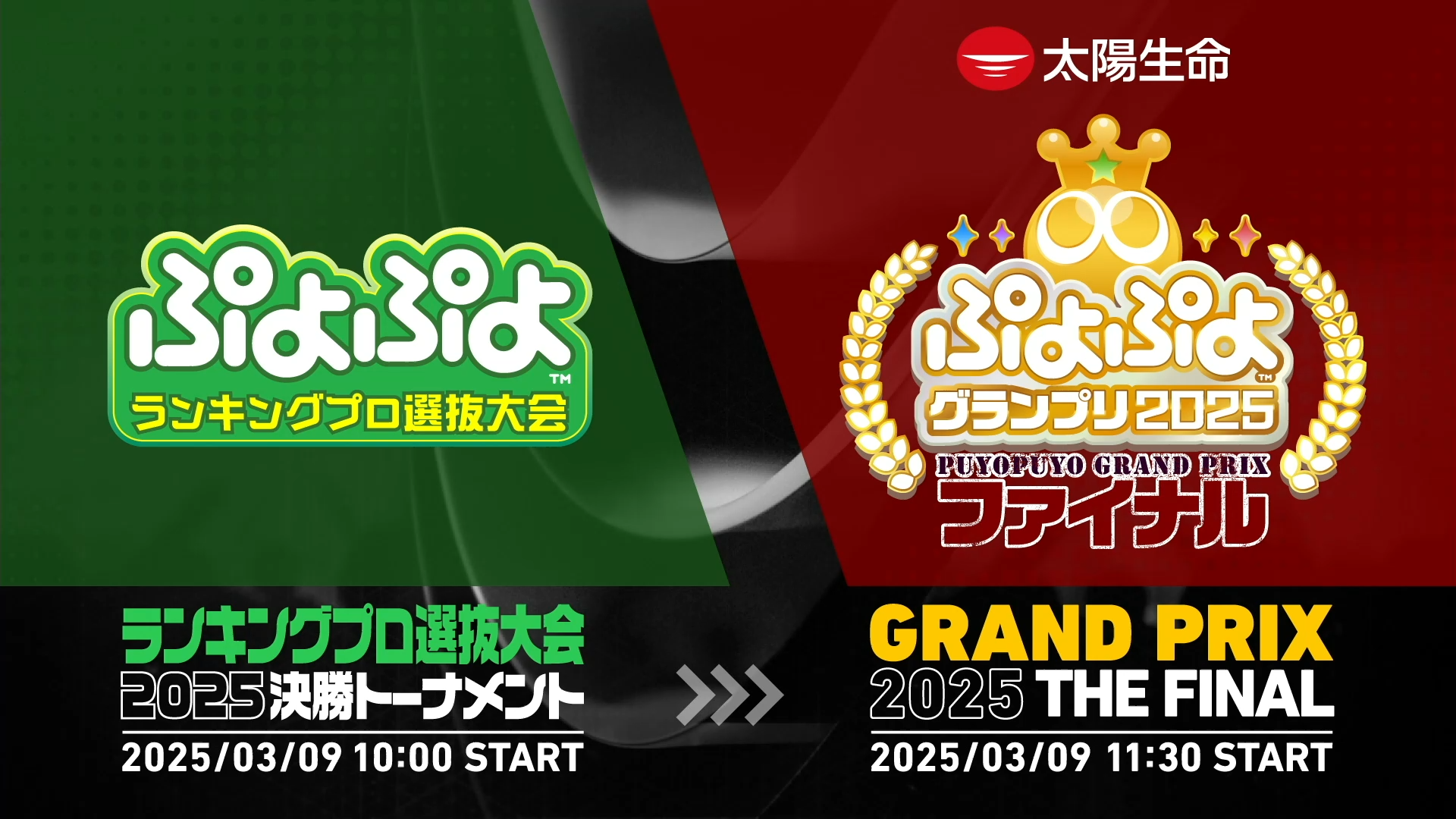 ぷよぷよランキングプロ選抜大会2025 